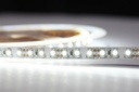 Світлодіодна LED стрічка гнучка 12V PROLUM IP20 2835\120 Series "L", Білий (5500-6000К)