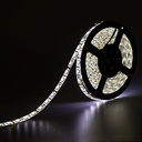Світлодіодна LED стрічка гнучка 12V PROLUM IP65 5050\60 Series "S", Білий (5500-6000К)