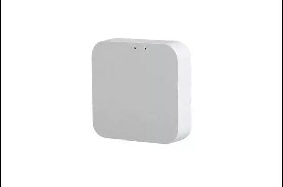 Шлюз керування PROLUM™ WIFI; ZigBee; Bluetooth; Multi Mode; SigMesh; Tuya; HomeLink