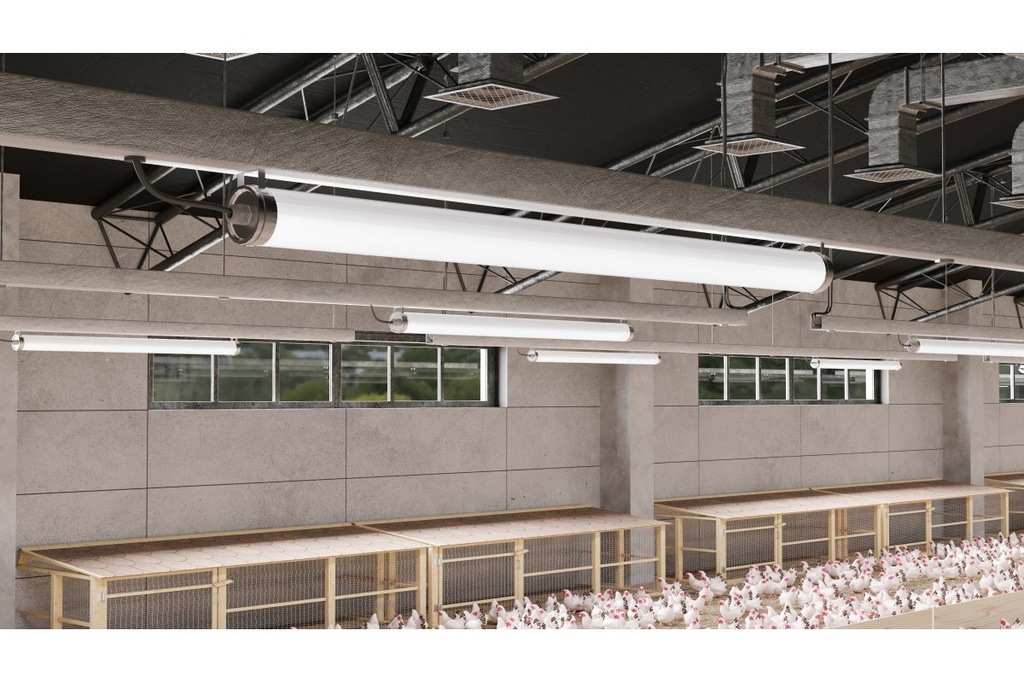 Герметичний led світильник GTV FARM, LED, 50W, 7500Лм, 4000К, AC220-240V, IP65, IK08, PMMA