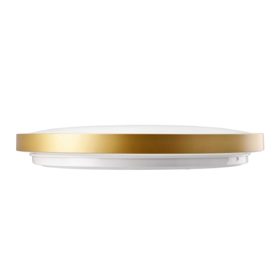 Світильник GTV ATOL, Ø400mm, 4000K, 32W, IP54, золотий (LD-GTV ATOL32W-NW-40)