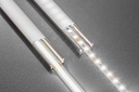 Стрічка GTV COB 12V, 480LED/m, 8mm, 10W/m, 800lm/W, 6500K, 5м