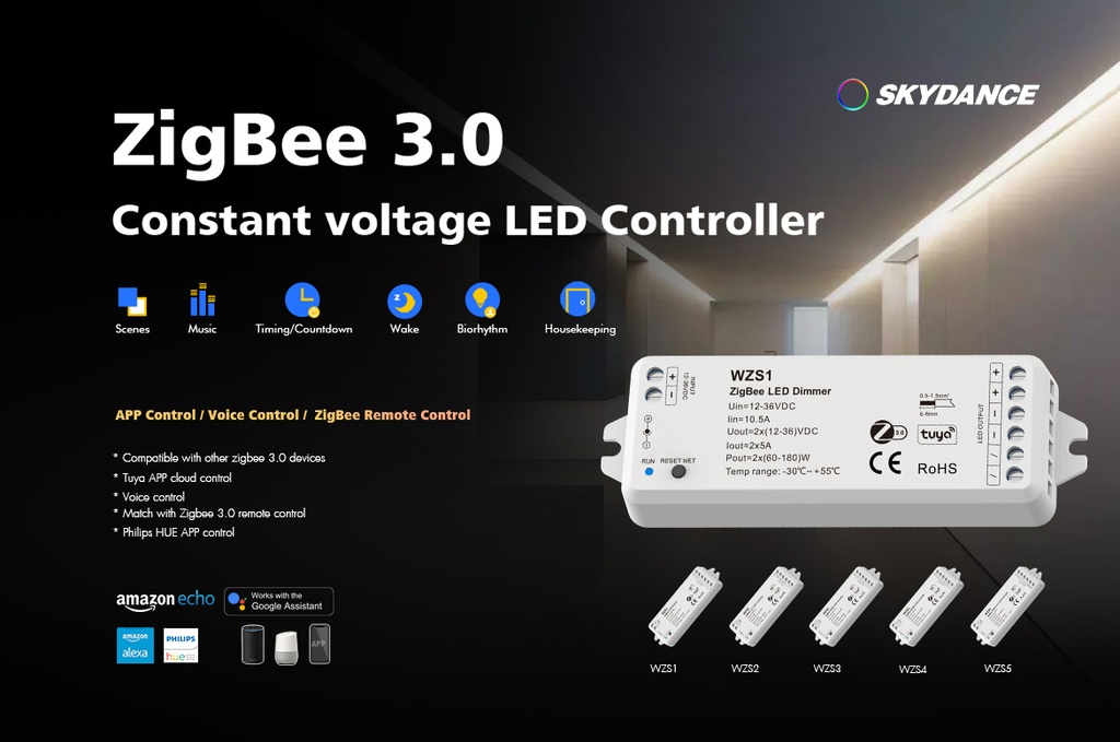 LED-контролер DEYA CCT 12-36VDC, 5A*2CH (WZS2)