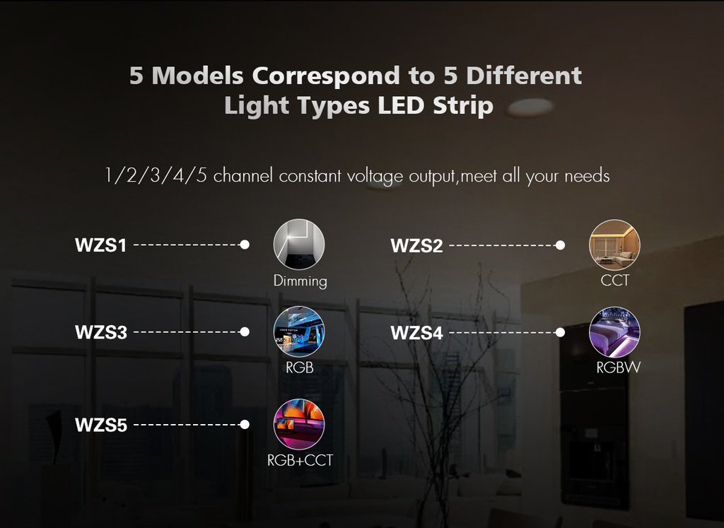 LED-контролер DEYA CCT 12-36VDC, 5A*2CH (WZS2)