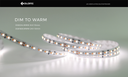 LED стрічка COLORS 168-2835-24V-IP20 13.5W  580Lm 1900K+3000K 5м (DS8168GWWW-24V-10mm)