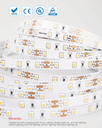 LED стрічка RISHANG 60-2835-12V-IP20 12W 956Lm 3000K 5м (RN0060TA-A-WW)