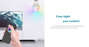 Пульт LED димера DEYA на 1 зону (RT1)