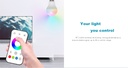 Пульт LED димера и контролер DEYA 8A*1CH  (R6-1+V1)