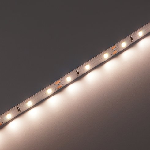 [8_4029] LED стрічка PROLUM™ 12V; 2835\60; IP20; Series "PRO", Нейтральний-Білий (3800-4300K)