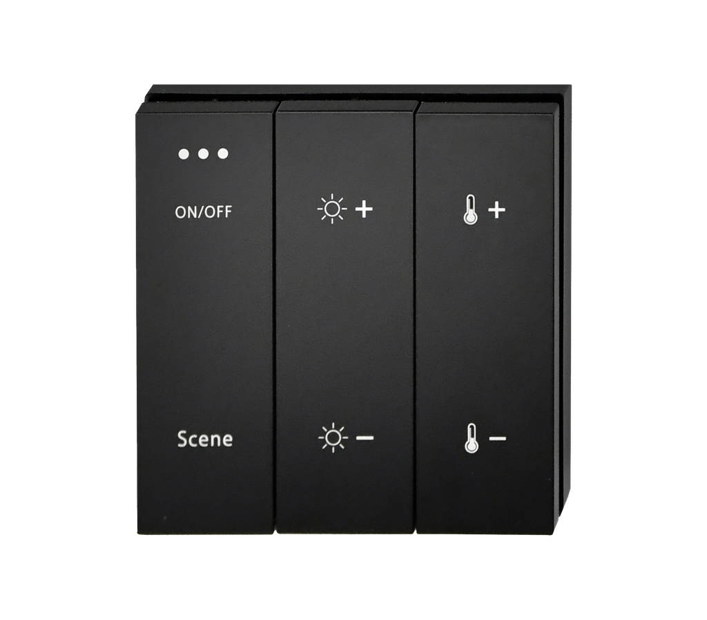 [8_4614] Панель керування PROLUM™ BLUETOOTH; TUYA; HomeLink