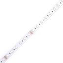 LED стрічка COLORS 60-5050-24V-IP20 16.8W RGB+4000K 5м (D560RGBNW-24V-12mm)