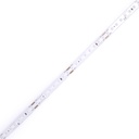 LED стрічка COLORS Chip-24V-IP20 9.6W 801Lm 3000K 5м (PD128-24V-8mm-WW)