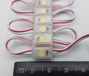 LED-модуль Rishang 1-2835-12V-IP65 20Lm 0.2W 4000K (M601TA)