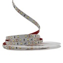 Світлодіодна LED стрічка PROLUM™ 12V; 2835\60; IP20; Series "SG", Нейтральний-Білий (3800-4300K)