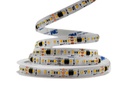 Світлодіодна LED стрічка PROLUM™ RUN 24V; 2835\120; IP20; Series "SMART", Білий+Тепло-Білий (2700-6500K)