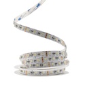 Світлодіодна LED стрічка PROLUM™ 12V; 5050\60; IP20; Series "PRO", RGB + W