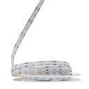 Світлодіодна LED стрічка PROLUM™ 24V; IP20; СОВ; 768LED; Series "SG", RGB