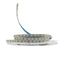 Світлодіодна LED стрічка PROLUM™ 24V; IP20; 2835\120; 6ММ; 50M; S-TYPE; Series "S", Білий (5500-6000К)