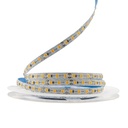 Світлодіодна LED стрічка PROLUM™ 12V; IP20; 2835\120; S-TYPE; Series "S", Червоний