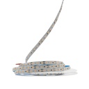 Світлодіодна LED стрічка PROLUM™ 12V; IP20; 2835\120; S-TYPE; Series "S", Рожевий