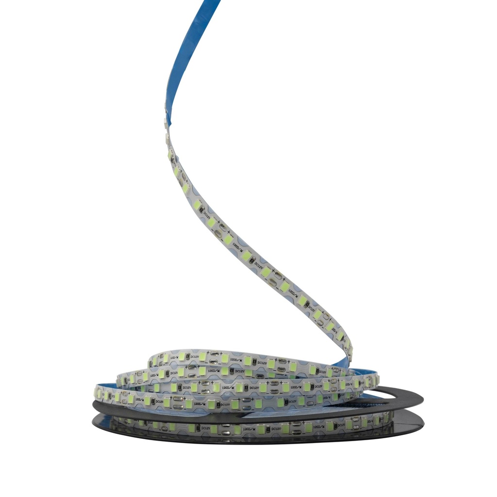 [8_5722] Світлодіодна LED стрічка PROLUM™ 12V; IP20; 2835\120; S-TYPE; Series "S", Зелений (MARS)